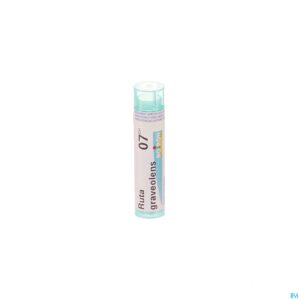 Packshot Ruta Graveolens 7ch Gr 4g Boiron