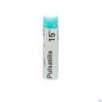 Packshot Pulsatilla 15ch Gl Boiron