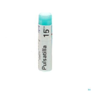 Packshot Pulsatilla 15ch Gl Boiron