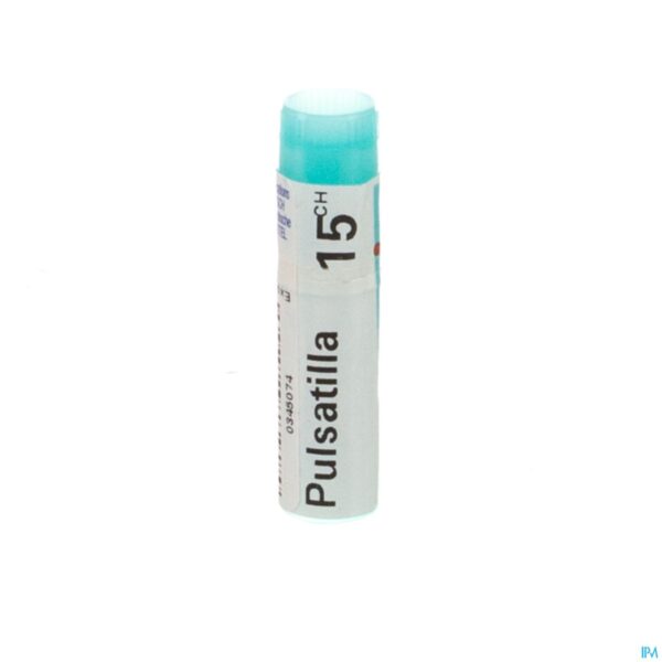 Packshot Pulsatilla 15ch Gl Boiron