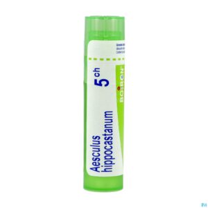 Packshot Aesculus Hippocastanum 5ch Gr 4g Boiron