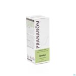 Packshot Pranarom Eo Gember 5ml