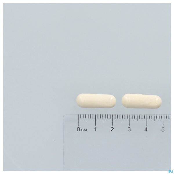 Pillshot Magnesium & Vit B Complex Caps 60 Credophar