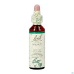 Packshot Bach Flower Remedie 33 Walnut 20ml