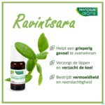 Lifestyle_image Phytosun Ravintsara Fr-bio-01 5ml