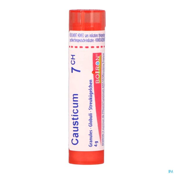 Packshot Causticum Hahnemanni 7ch Gr 4g Boiron