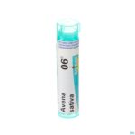 Packshot Avena Sativa 06d Gr 4g Boiron