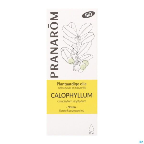 Packshot Pranarom Po Calophyllus Bio 50ml