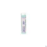 Packshot Hypericum Perforatum 200k Gr 4g Boiron