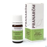 Lifestyle_image Pranarom Eo Spaanse Oregano 5ml