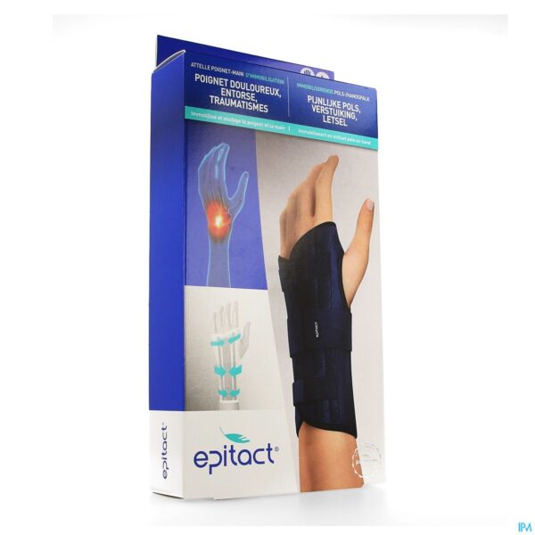 Packshot Epitact Spalk Pols Hand Links l