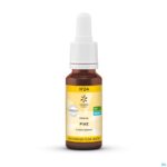 Packshot Bachbloesem Bio N°24 Pine 20ml