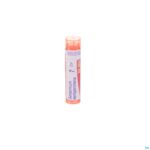 Packshot Gelsemium Sempervirens 7ch Gr 4g Boiron
