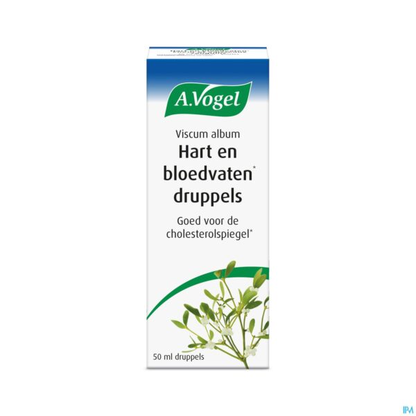 Packshot A.Vogel Viscum Album 50ml Packshot A.Vogel Viscum Album 50ml