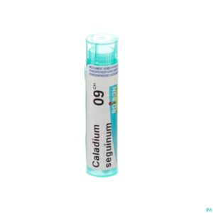 Packshot Caladium Seguinum 9ch Gr 4g Boiron