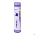 Packshot Pulsatilla 30k Gr 4g Boiron