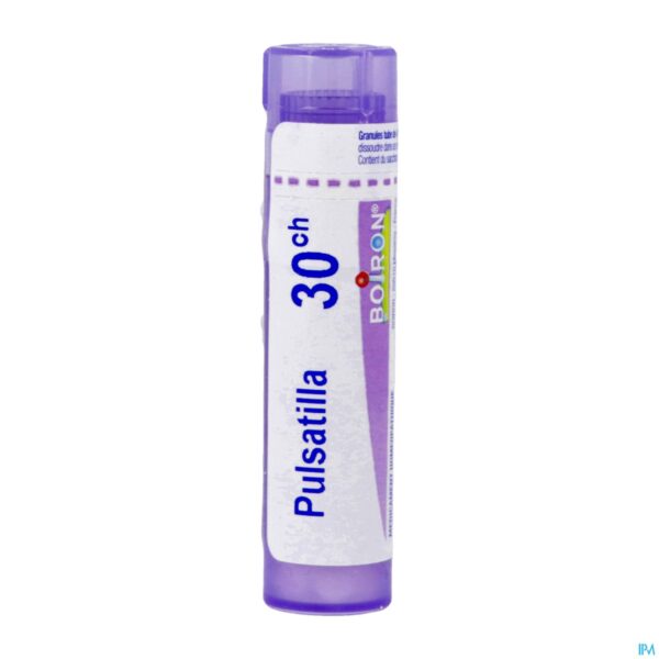 Packshot Pulsatilla 30k Gr 4g Boiron