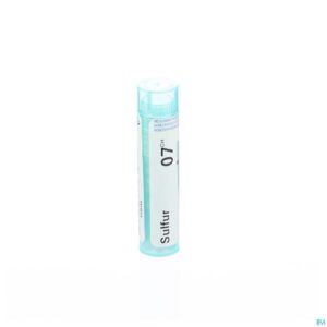 Packshot Sulfur 7ch Gr 4g Boiron