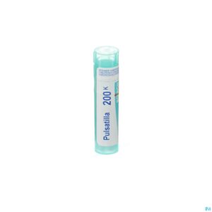 Packshot Pulsatilla 200k Gr 4g Boiron