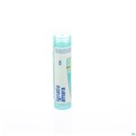 Packshot Ignatia Amara Mk Gr 4g Boiron