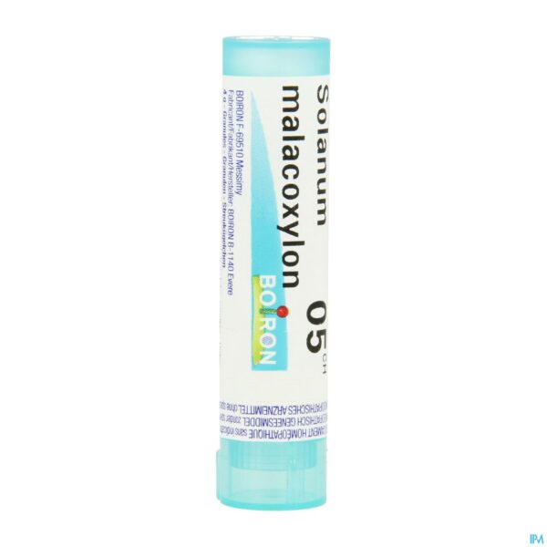 Packshot Solanum Malacoxylon 5ch Gr 4g Boiron
