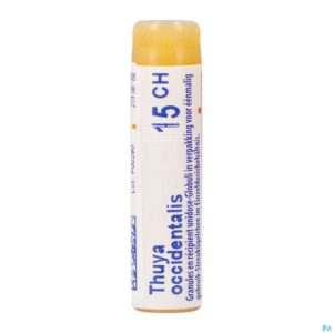 Packshot Thuya Occidentalis 15ch Gl Boiron