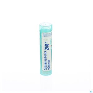 Packshot Calcarea Carbonica Ostrearum 200k Gr 4g Boiron