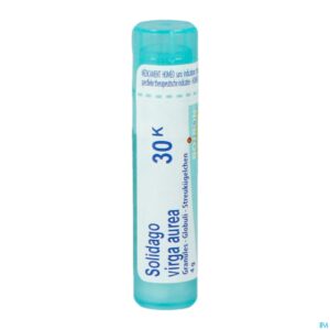 Packshot Solidago Virgaurea 30k Gr 4g Boiron