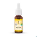 Packshot Bachbloesem Bio N°26 Rock Rose 20ml