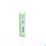 Packshot Silicea 5ch Gr 4g Boiron