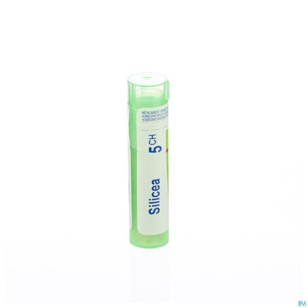 Packshot Silicea 5ch Gr 4g Boiron