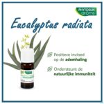 Lifestyle_image Phytosun Euc. Radiata Fr-bio-01 10ml Lifestyle_image Phytosun Euc. Radiata Fr-bio-01 10ml