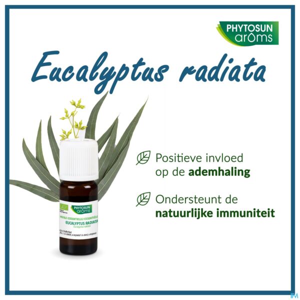 Lifestyle_image Phytosun Euc. Radiata Fr-bio-01 10ml Lifestyle_image Phytosun Euc. Radiata Fr-bio-01 10ml