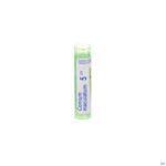 Packshot Conium Maculatum 5ch Gr 4g Boiron