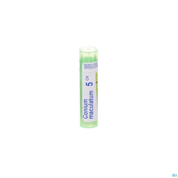 Packshot Conium Maculatum 5ch Gr 4g Boiron