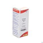 Packshot Echinacea Purpurea Tm 60ml Boiron