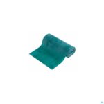 Productshot Rafys Theraband 5m Heavy Groen 2093