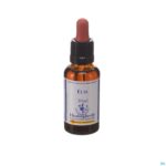 Packshot Healing Herbs Elm 30ml