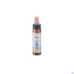 Packshot Healing Herbs Pine 10ml