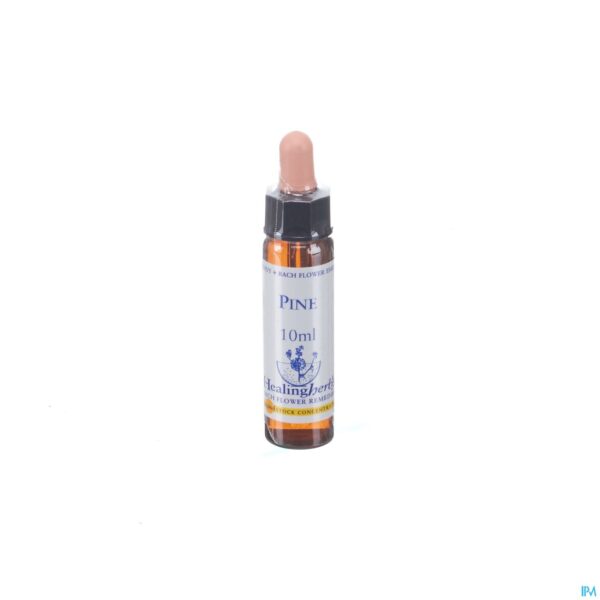 Packshot Healing Herbs Pine 10ml