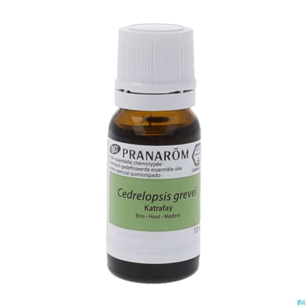 Productshot Pranarom Eo Katafray Bio 10ml
