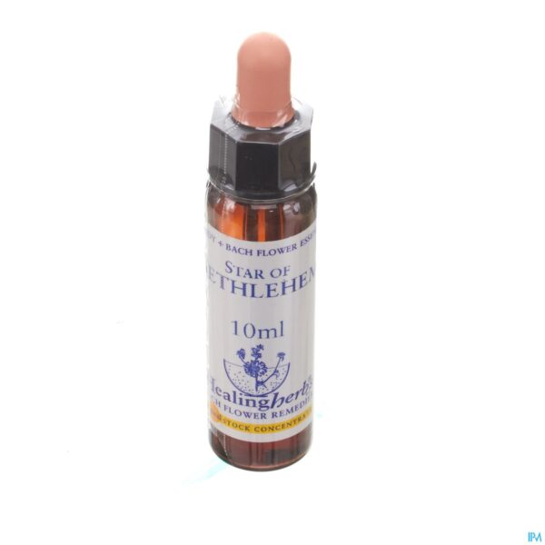 Packshot Healing Herbs Star Bethlehem 10ml