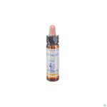 Packshot Healing Herbs Centaury 10ml