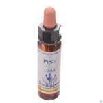 Packshot Healing Herbs Pine 10ml