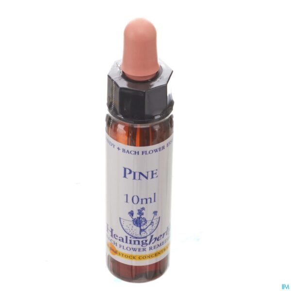 Packshot Healing Herbs Pine 10ml