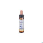 Packshot Healing Herbs Vervain 10ml