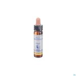 Packshot Healing Herbs White Chestnut 10ml