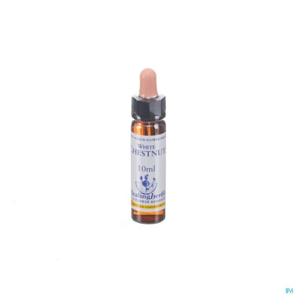 Packshot Healing Herbs White Chestnut 10ml