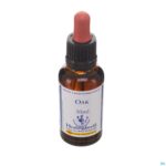 Packshot Healing Herbs Oak 30ml