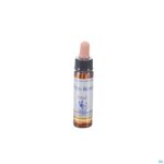 Packshot Healing Herbs Wild Rose 10ml